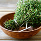 1000 Common GARDEN THYME English, German, French, or Winter Thymus Vulgaris Herb Flower Seeds