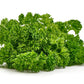 500 FOREST GREEN PARSLEY Petroselinum Crispum Double Triple Curl Vegetable Seeds
