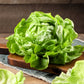 3000 WHITE BOSTON LETTUCE 12" Green Butterhead Lactuca Sativa Vegetable Seeds