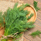 2500 BOUQUET DILL Anethum Graveolens Herb Flower Seeds