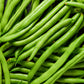 50 GREENCROP GREEN BEAN Phaseolus Vulgaris Vegetable Seeds