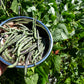 50 RATTLESNAKE POLE BEAN Stringless Purple Phaseolus Vulgaris Vegetable Seeds