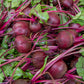 250 EARLY WONDER BEET Beta Vulgaris Vegetable Seeds