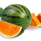 50 TENDERSWEET ORANGE WATERMELON Orange Flesh Citrullus Lanatus Fruit Melon Seeds