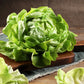 3000 BUTTERCRUNCH LEAF LETTUCE Lactuca Sativa Vegetable Seeds