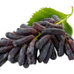 5 BLACK FINGER GRAPE Vitis Viniferia Fruit Vine Seeds