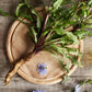 1000 CHICORY (Blue Daisy / Blue Sailors / Coffeeweed / Succory) Cichorium Intybus Flower Herb Seeds