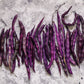 40 Royalty PURPLE POD BEAN Phaseolus Vulgaris Vegetable Seeds