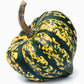 15 HEART Of GOLD Acorn SQUASH Winter Cucurbita Pepo Vegetable Seeds