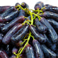 5 BLACK FINGER GRAPE Vitis Viniferia Fruit Vine Seeds