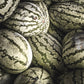 50 DIXIE QUEEN WATERMELON White & Red Citrullus Lanatus Melon Fruit Vine Seeds
