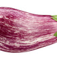 30 Pandora STRIPED ROSE EGGPLANT Solanum Melongena White Fruit Vegetable Seeds