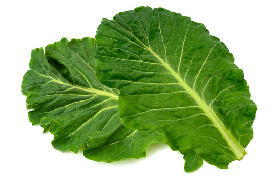 1000 PREMIER KALE Early Hanover Brassica Oleracea Greens Vegetable Seeds