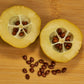 20 COMMON CULINARY QUINCE Fruit Tree Cydonia Oblonga Flowering Shrub Seeds