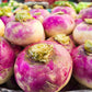 3000 PURPLE Top WHITE Globe TURNIP Brassica Rapa Vegetable Seeds