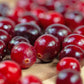 100 Perennial CRANBERRY American Vaccinium Macrocarpon Red Fruit Bush Seeds