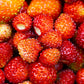 100 VESCA BARON STRAWBERRY Solemacher Berry Fragari Fruit Seeds