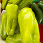 50 GREEK GOLDEN PEPPER Pepperoncini Gold Yellow Capsicum Annuum Vegetable Seeds