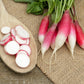 750 FRENCH BREAKFAST RADISH Raphanus Sativus Vegetable Seeds