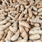 15 Seeds TENNESSEE RED PEANUT Valencia Arachis Hypogaea Perennial Nut Plant