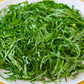 1000 HANOVER SALAD Spring KALE Smooth Siberian Brassica Napus Vegetable Seeds