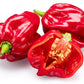 50 Hot RED HABANERO PEPPER Capsicum Chinense Vegetable Seeds
