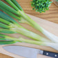 300 Evergreen NEBUKA BUNCHING ONION Japanese Allium Fistulosum Vegetable Seeds