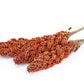 70 SUGAR DRIP SORGHUM Amber Cane Grain Sweet Syrup Vegetable Seeds