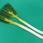 300 Evergreen NEBUKA BUNCHING ONION Japanese Allium Fistulosum Vegetable Seeds