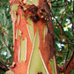 10 PACIFIC MADRONE TREE Bearberry Red Arbutus Menziesii Oregon Laurel Seeds