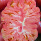 50 Giant BELGIAN PINK TOMATO Huge Pink Skin Lycopersicon Fruit Vegetable Seeds