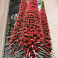 25 TOWER OF JEWELS Red Bugloss Echium Wildpretii Ruby Hummingbird Flower Seeds