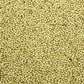 200 PROSO MILLET White Common Panicum Miliaceum Ornamental Grass Vegetable Seeds