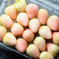 100 WHITE SOUL STRAWBERRY Fragaria Vesca Fruit Flower Berry Seeds