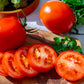 500 ITALIAN ROMA TOMATO Lycopersicon Lycopersicum Fruit Vegetable Seeds