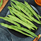 50 ROMA Italian GREEN BEAN Phaseolus Vulgaris Vegetable Seeds