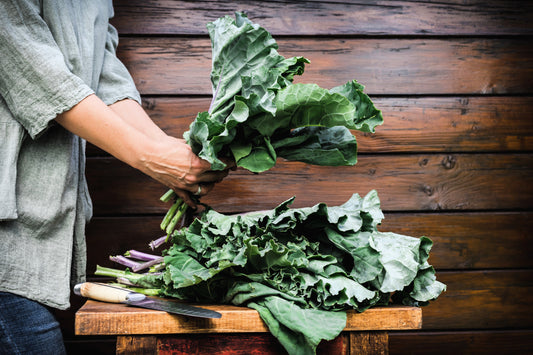 1500 MORRIS HEADING COLLARDS Collard Green Brassica Oleracea Vegetable Seeds