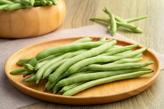 50 GREENCROP GREEN BEAN Phaseolus Vulgaris Vegetable Seeds
