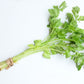 2000 CUTTING LEAF CELERY Apium Graveolens Soup Vegetable Herb Seeds