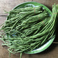 30 YARD LONG BEAN Asparagus Bean Cowpea Phaseolus Vulgaris Vegetable Seeds