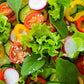 3000 Loose Leaf Green GRAND RAPIDS LETTUCE Lactuca Sativa Vegetable Seeds