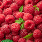 100 RED RASPBERRY Rubus Idaeus Fruit Bush Vine Seeds
