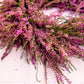 100 Scotch TRUE HEATHER Shrub Scot's Purple Pink Flower Calluna Vulgaris Seeds
