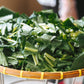 3000 FLORIDA BROADLEAF MUSTARD Brassica Juncea Herb Vegetable Seeds