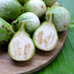 10 KERMIT EGGPLANT Green White Thai Solanum Melongena Fruit Vegetable Seeds