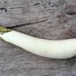 40 White Star FINGER FRUIT EGGPLANT Solanum Melongena Aubergine Fruit Vegetable Seeds