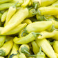 300 HUNGARIAN HOT Wax PEPPER (Hot Banana Pepper) Capsicum Annuum Vegetable Seeds
