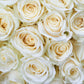 5 WHITE ROSE Rosa Bush Shrub Perennial Flower Seeds