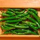 25 Organic KOREAN Dark GREEN PEPPER Lady Han Hot Chili Long Red Capsicum Annuum Seeds