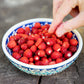 100 VESCA BARON STRAWBERRY Solemacher Berry Fragari Fruit Seeds